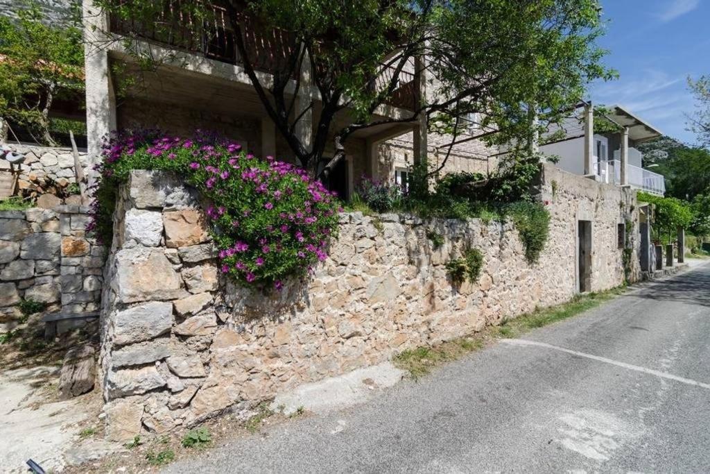 Apartments Felix Babino Polje Esterno foto